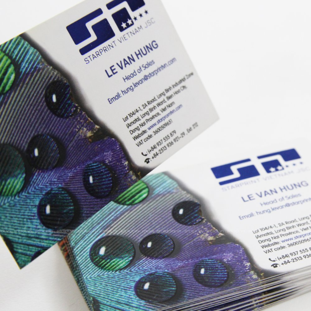 Namecard Danh Thiep Artclick2