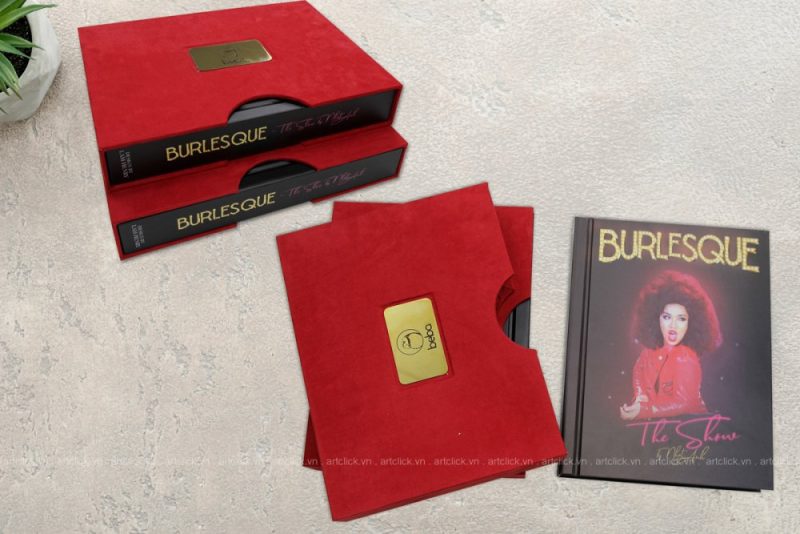 Ho So Nang Luc Profile Artclick Artprint Tap Chi Bia Cung