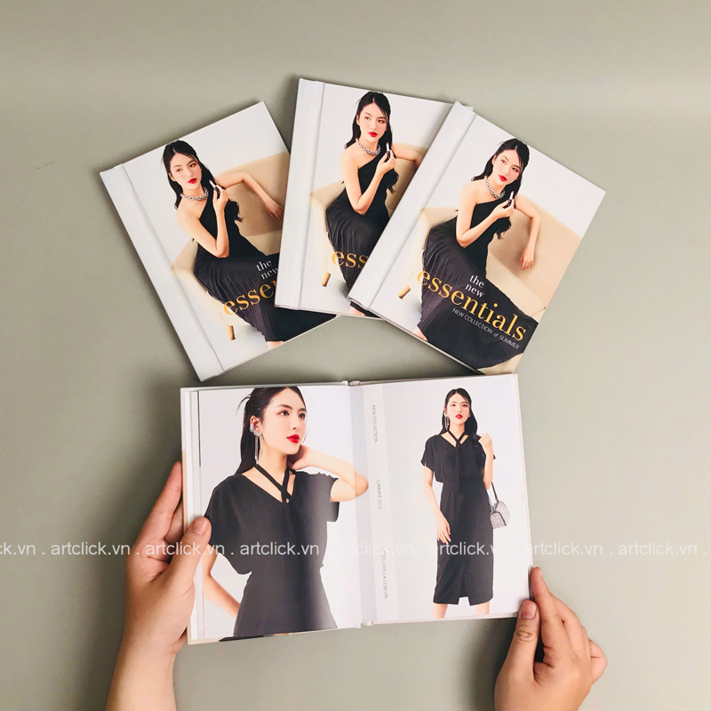 thi?t k? và in ?n catalogue