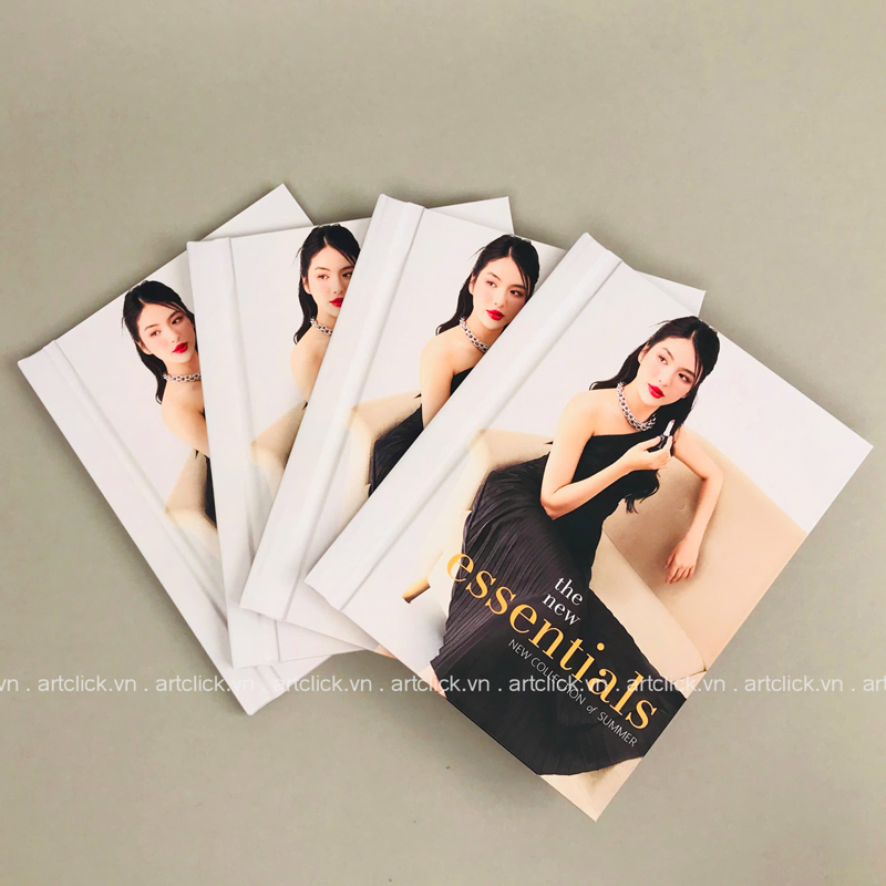 thi?t k? và in ?n catalogue