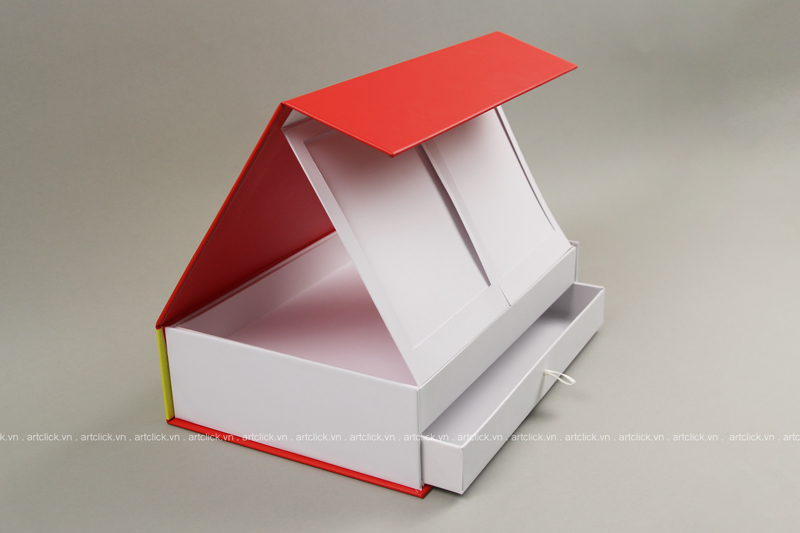 in hộp giấy theo yêu cầu