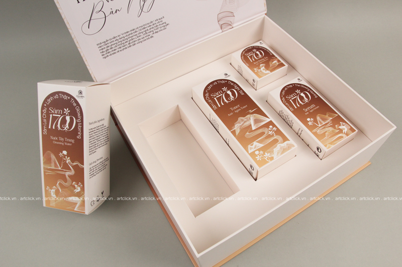in hộp giấy theo yêu cầu số lượng it